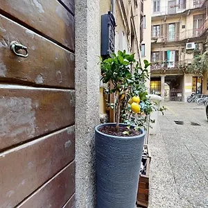  Appartement La Casetta In Colonne